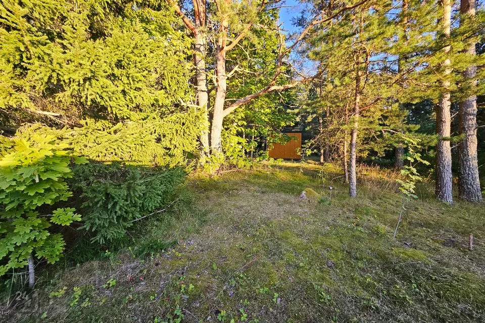 Maatulundusmaa, 1773 m² Maa  -  Lääne-Nigula vald, Tuksi küla / Bergsby - foto 3