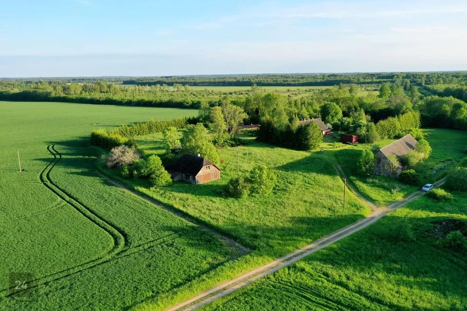 4774 m² Maa - Viljandi vald, Savikoti küla - foto 5