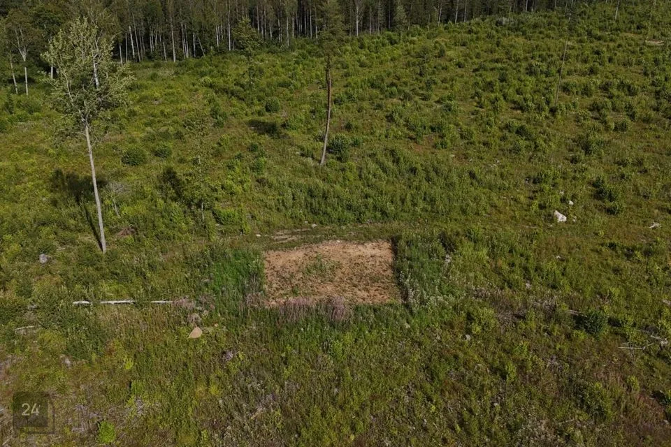 Maatulundusmaa, 42044 m² Maa - Lääne-Harju vald, Ohtu küla - foto 3