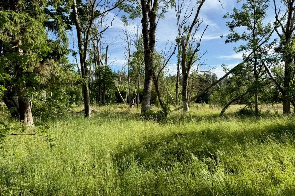 Maatulundusmaa, 16091 m² Maa  -  Saaremaa vald, Kaarma küla - foto 3