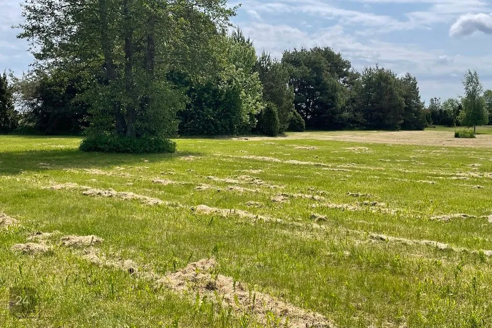 Elamumaa, 11126 m² Maa - Saaremaa vald, Salme alevik