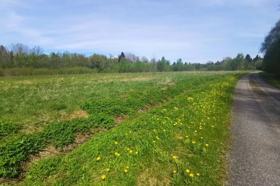 Cultivated land, 21300 m² land in Lääne-Nigula vald, Keedika küla - photo 5