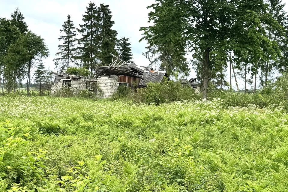Maatulundusmaa, 25469 m² Maa  -  Rapla vald, Seli-Nurme küla - foto 4