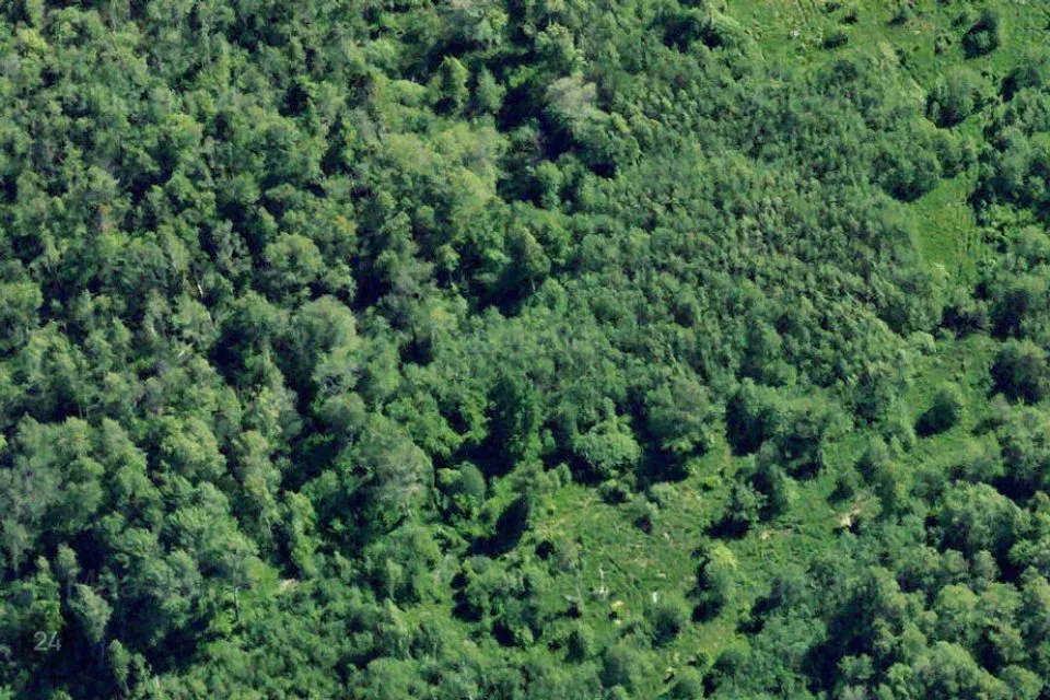 Maatulundusmaa, 53222 m² Maa  -  Hiiumaa vald, Kidaste küla - foto 2