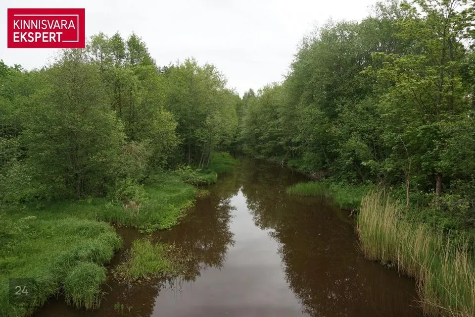 Maatulundusmaa, 45700 m² Maa - Lääneranna vald, Paadrema küla - foto 2