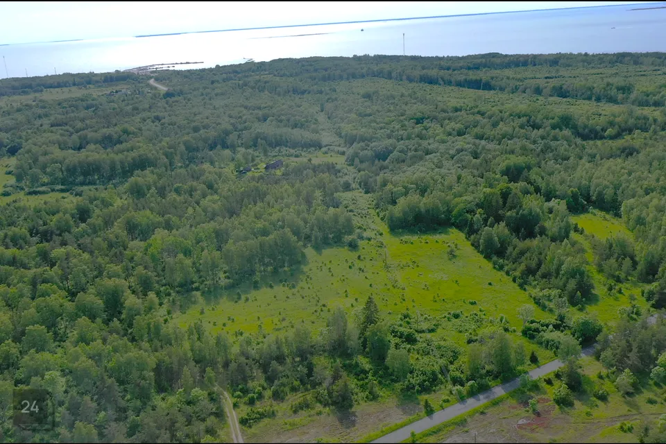 Maatulundusmaa, 29905 m² участок в Haapsalu linn, Rohuküla