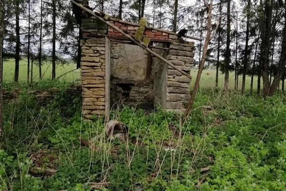 Elamumaa, 6692 m² Maa  -  Rapla vald, Lipstu küla - foto 2