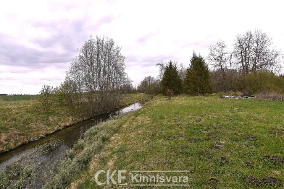 Elamumaa, 12625 m² Maa - Rakvere vald, Tõrma küla - foto 2