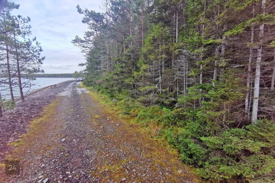 Elamumaa, 12495 m² Maa  -  Lääne-Harju vald, Keibu küla - foto 4