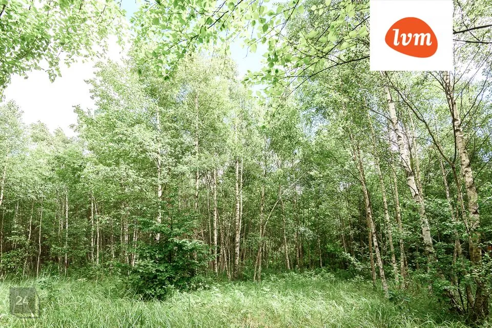 Elamumaa, 4991 m² Maa - Saaremaa vald, Mändjala - foto 3