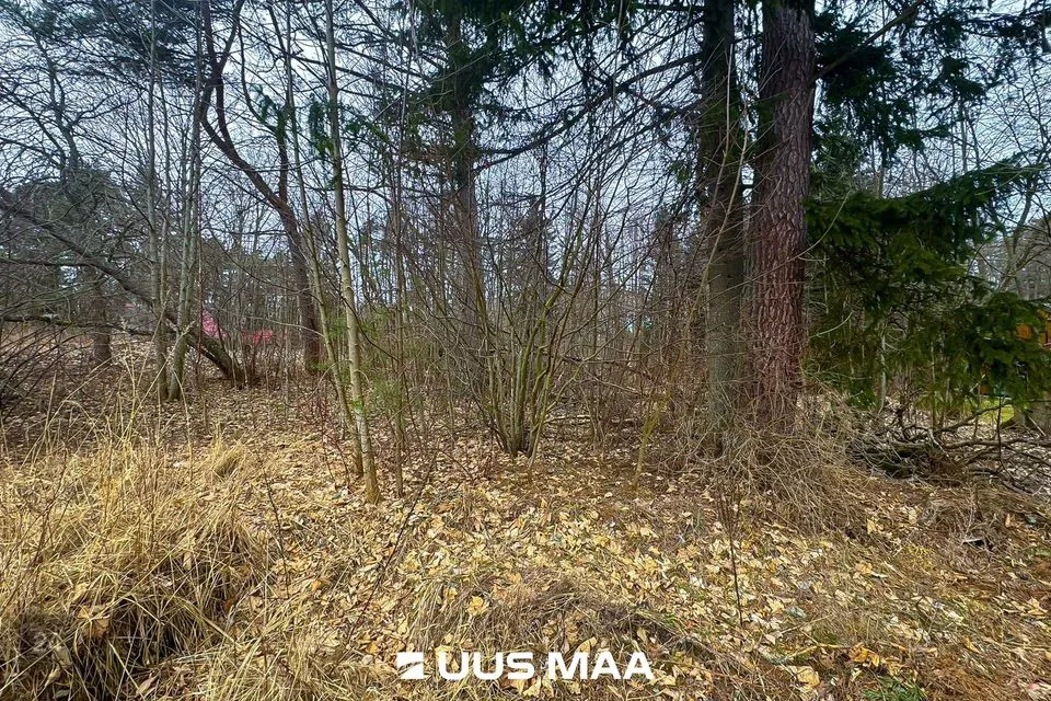 Elamumaa, 3005 m² Maa - Lääne-Harju vald, Meremõisa küla - foto 2