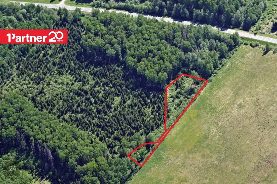 Maatulundusmaa, 4319 m² Maa - Viljandi vald, Sultsi küla