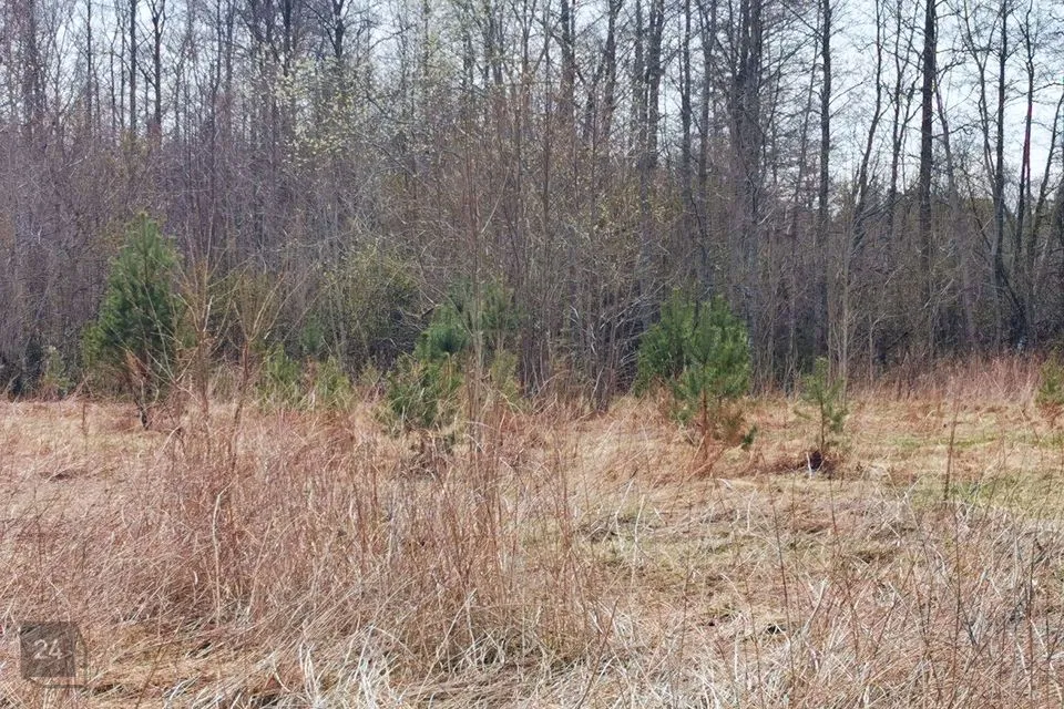 Maatulundusmaa, 17327 m² участок в Lääne-Nigula vald, Elbiku küla / Ölbäck
