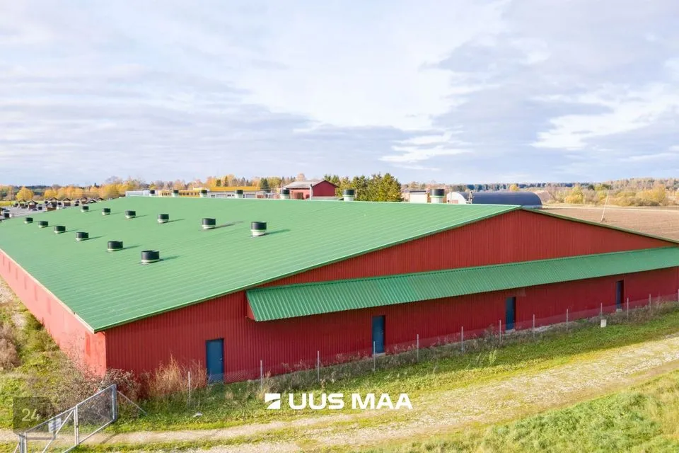 Ladu või Tootmine, 9300 m² Äripind  -  Tartu vald, Laeva küla - foto 4