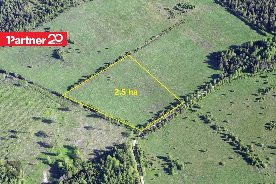 Maatulundusmaa, 25065 m² Maa - Tapa vald, Tõõrakõrve küla - foto 4