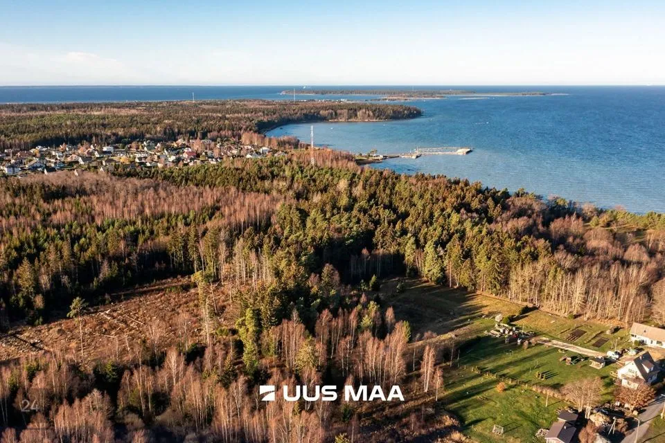Elamumaa, 11106 m² Maa  -  Viimsi vald, Leppneeme küla - foto 4