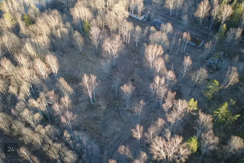 Elamumaa, 4625 m² Maa  -  Kuusalu vald, Hara küla - foto 4