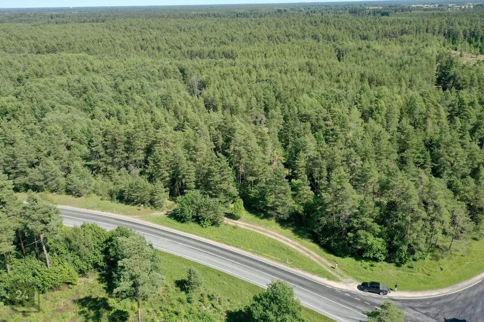 Maatulundusmaa, 19881 m² Maa  -  Saaremaa vald, Liiva-Putla küla - foto 2