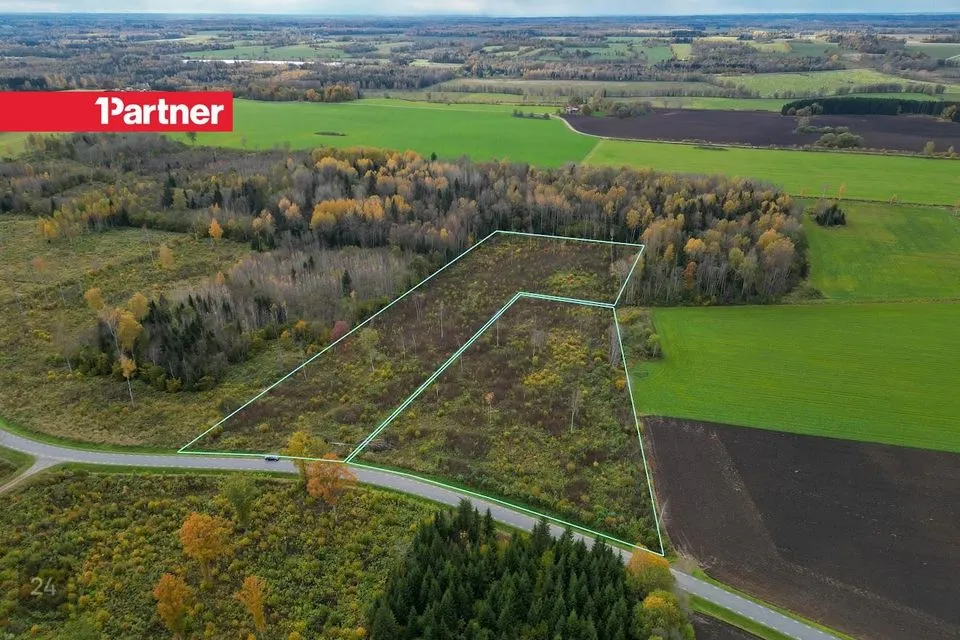 Maatulundusmaa, 40000 m² Maa  -  Viljandi vald, Päri küla - foto 2