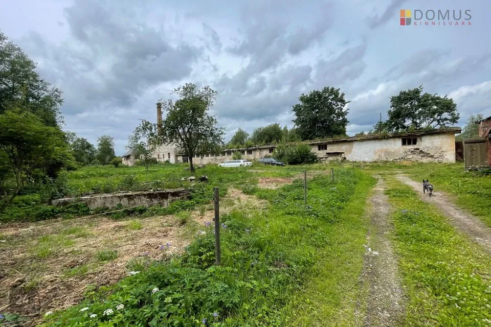 Tootmismaa, 26860 m² Maa - Tapa vald, Läste küla - foto 2