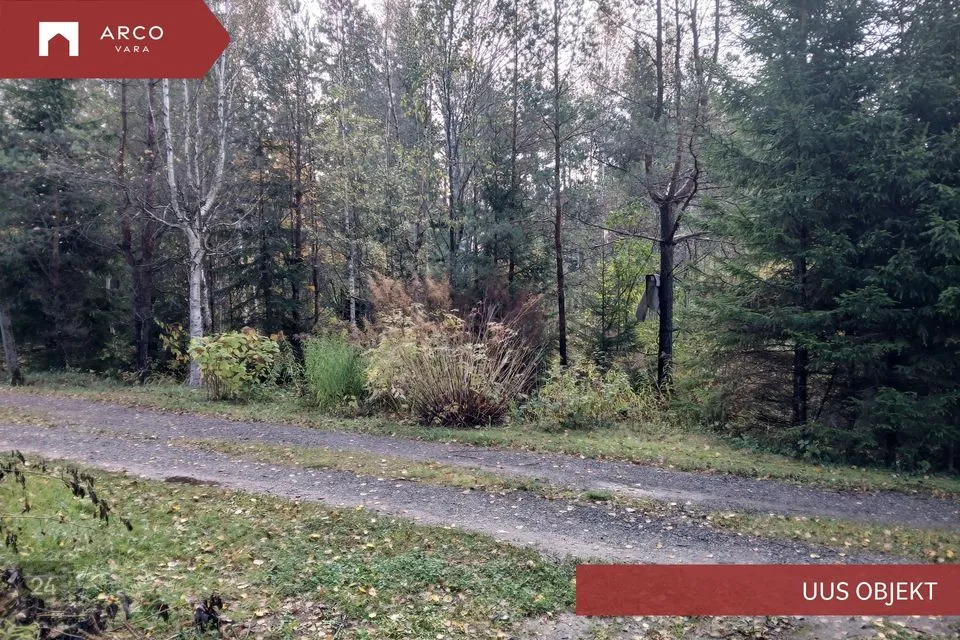 Elamumaa, 3769 m² Maa - Saue vald, Kibuna küla - foto 2