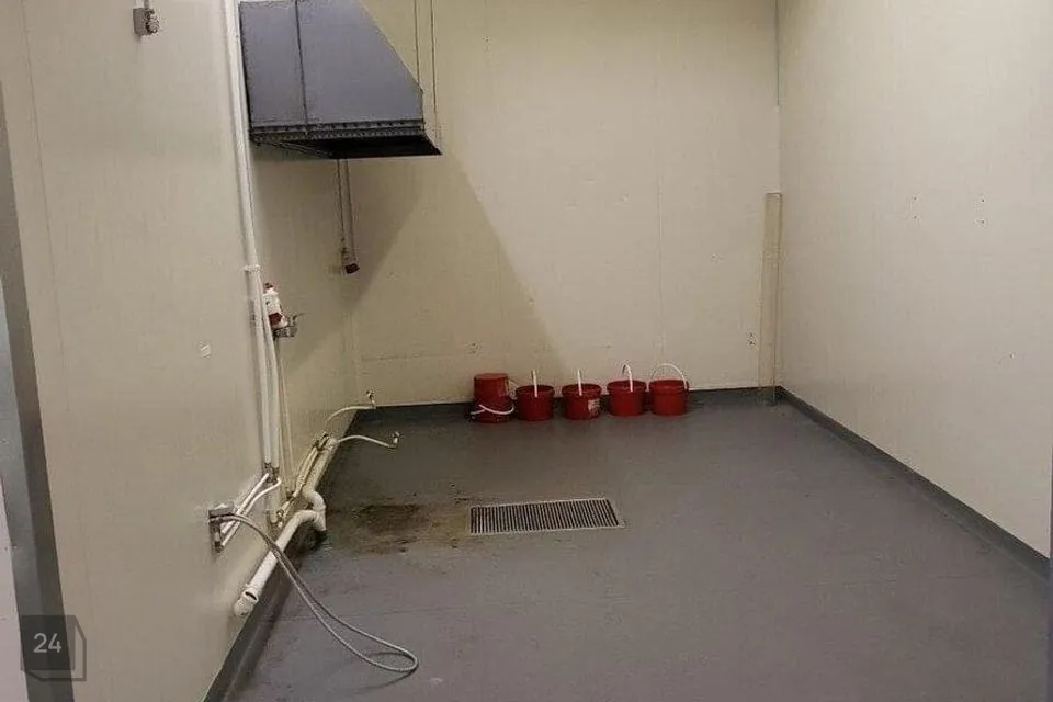 Toitlustus, 300 m² Äripind  -  Viimsi vald, Haabneeme alevik - foto 2