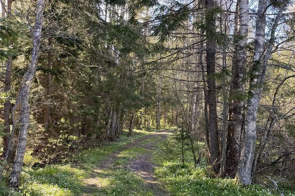 135 m² Maja - Kuusalu vald, Kolgaküla - foto 3