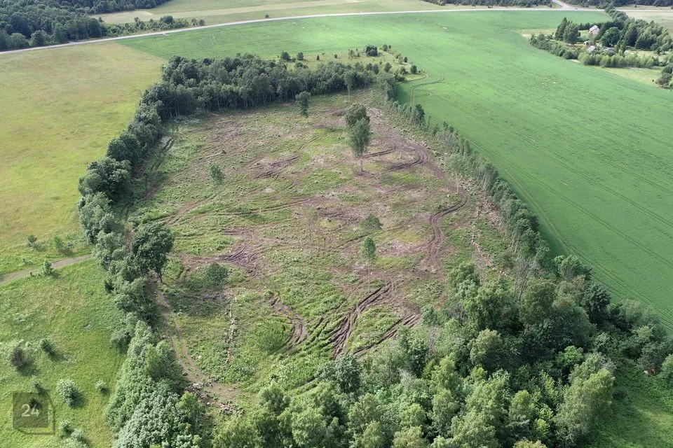 Maatulundusmaa, 32229 m² Maa  -  Lääne-Harju vald, Määra küla - foto 2