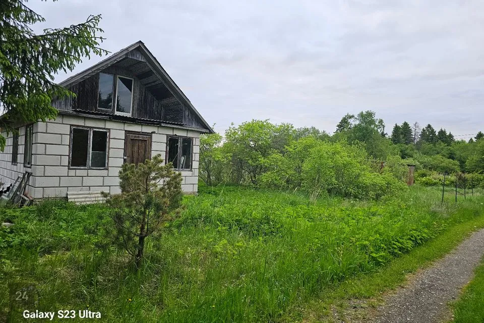 Elamumaa, 1625 m² Maa  -  Narva-Jõesuu linn, Vaivara küla - foto 2