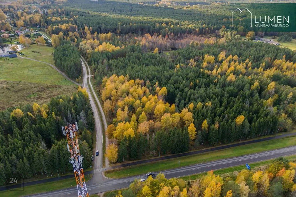 Maatulundusmaa, 13825 m² Maa  -  Võru vald, Meegomäe küla - foto 5