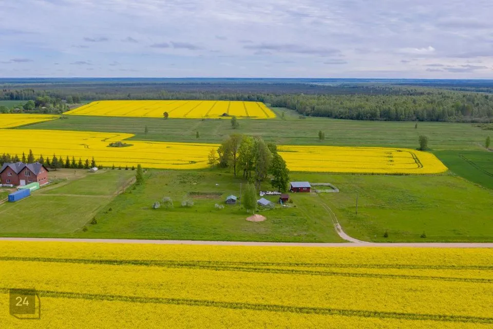 20253 m² Maa  -  Elva vald, Teilma küla - foto 2
