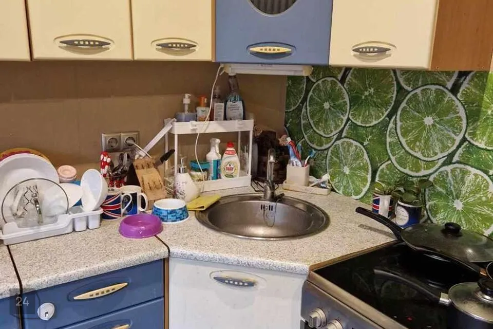 4-toaline Korter - Mustvee vald, Kääpa küla - foto 4