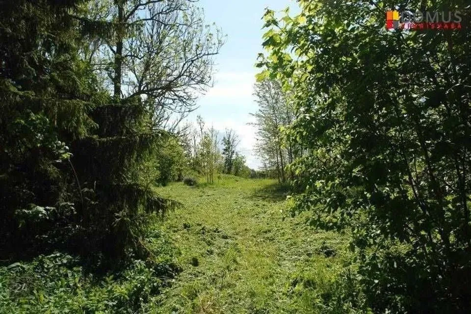 Maatulundusmaa, 18000 m² Maa - Raasiku vald, Pikavere küla