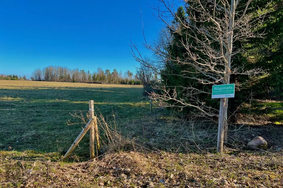 Maatulundusmaa, 20003 m² Maa  -  Kohila vald, Hageri küla - foto 5