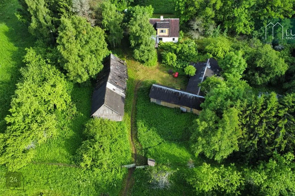 Maatulundusmaa, 38741 m² Maa  -  Kambja vald, Kullaga küla - foto 4