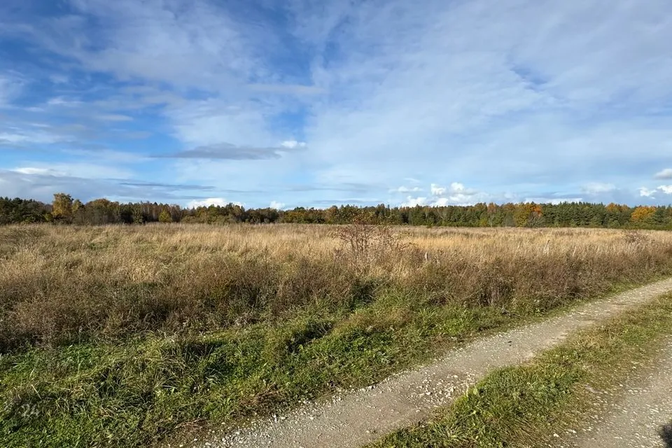 Maatulundusmaa, 25735 m² участок в Saaremaa vald, Pammana küla - фото 3