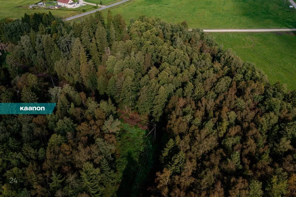 Elamumaa, 1210 m² Maa  -  Raasiku vald, Aruküla alevik - foto 4