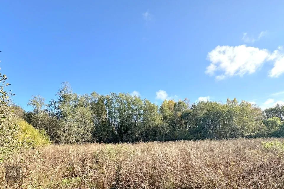 Maatulundusmaa, 33932 m² Maa  -  Kuusalu vald, Valkla küla