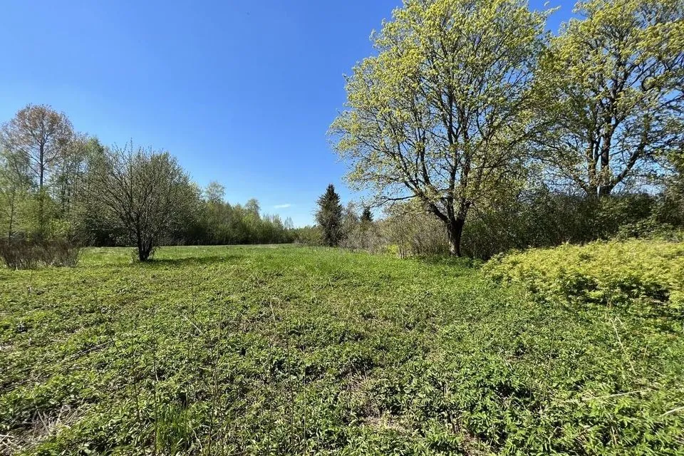 Maatulundusmaa, 33500 m² Maa  -  Märjamaa vald, Käbiküla - foto 5