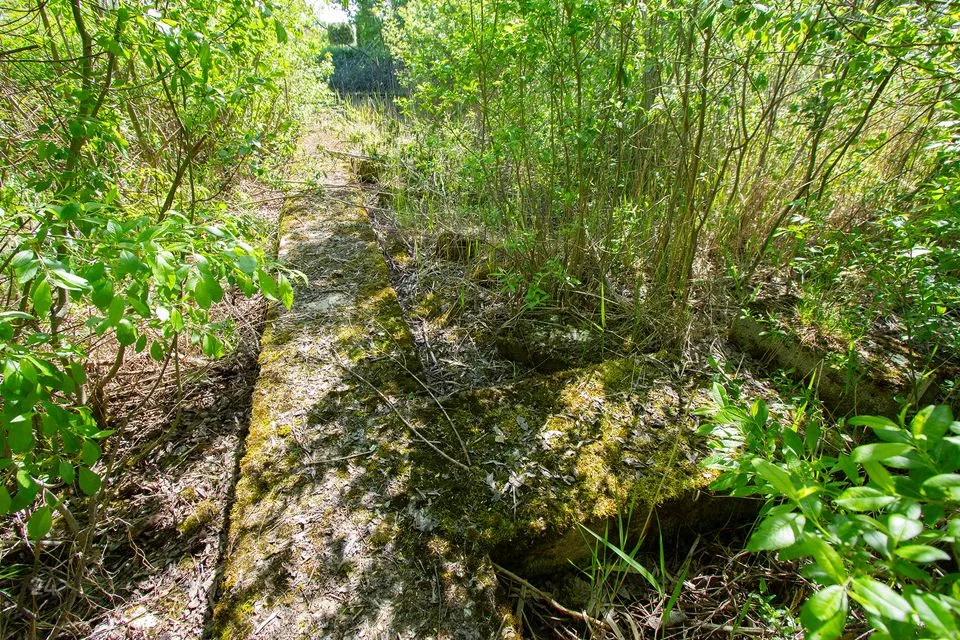 Земля жилой застройки, 1765 m² участок в Saue vald, Alliku küla - фото 5