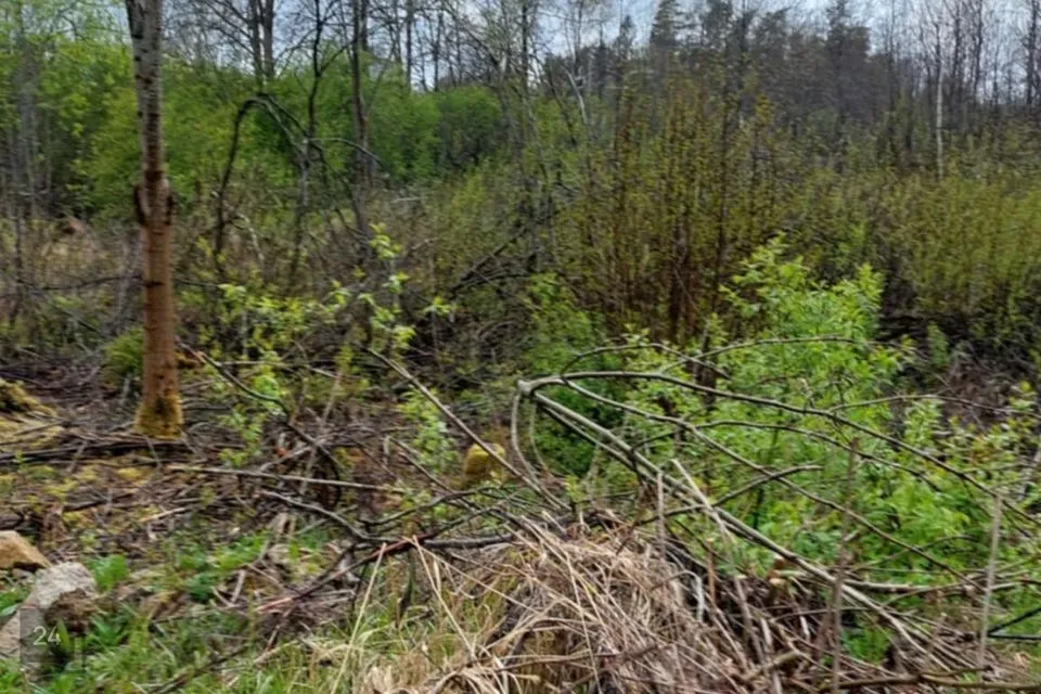 Elamumaa, 9950 m² Maa  -  Raasiku vald, Aruküla alevik - foto 4