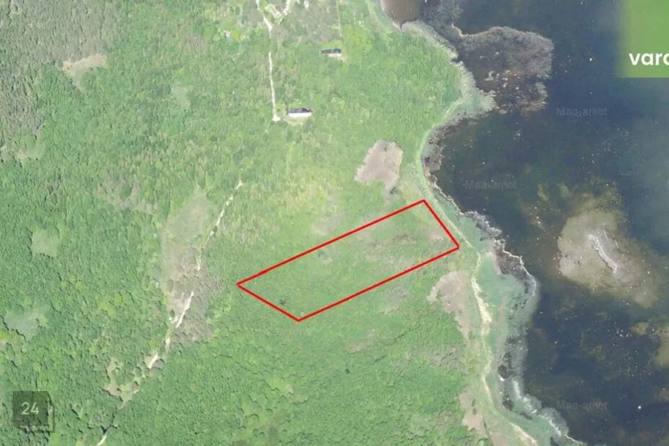 Maatulundusmaa, 13112 m² Maa  -  Kuusalu vald, Pärispea küla - foto 3
