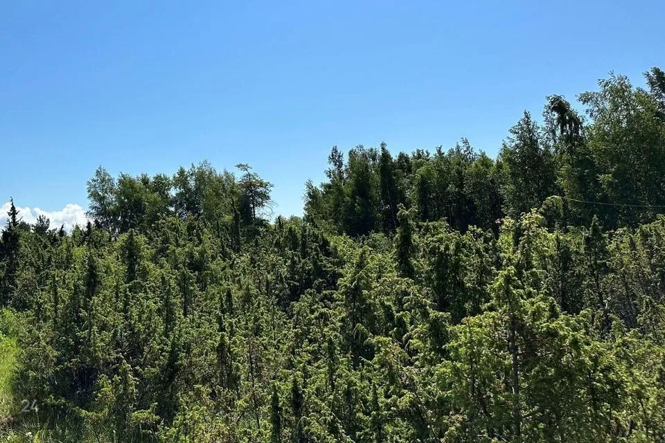 Elamumaa, 10571 m² Maa  -  Lääneranna vald, Virtsu alevik - foto 3