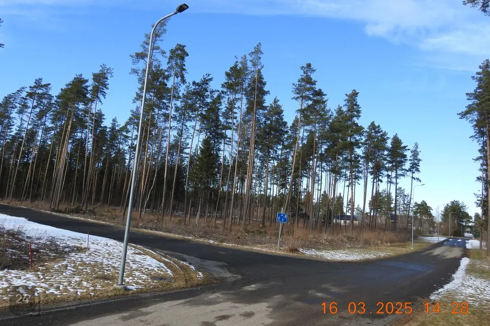 Elamumaa, 5014 m² Maa - Kohila vald, Aandu küla - foto 3