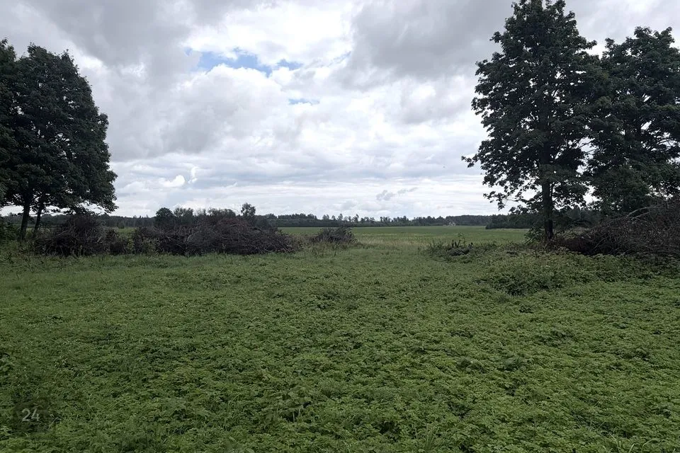 Maatulundusmaa, 17823 m² Maa - Lääneranna vald, Piha küla - foto 4