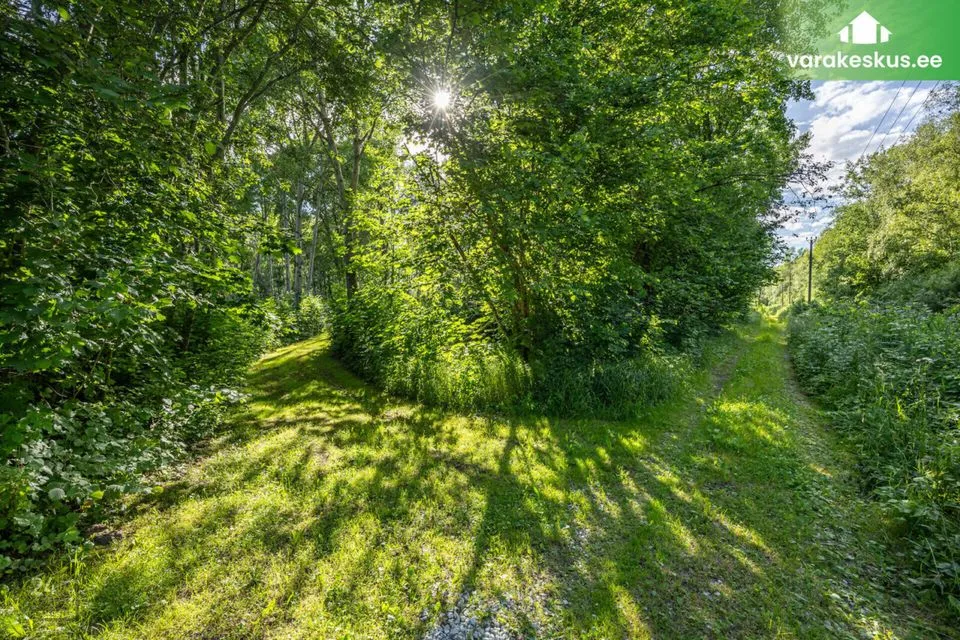 Maatulundusmaa, 20051 m² Maa - Saue vald, Püha küla - foto 5