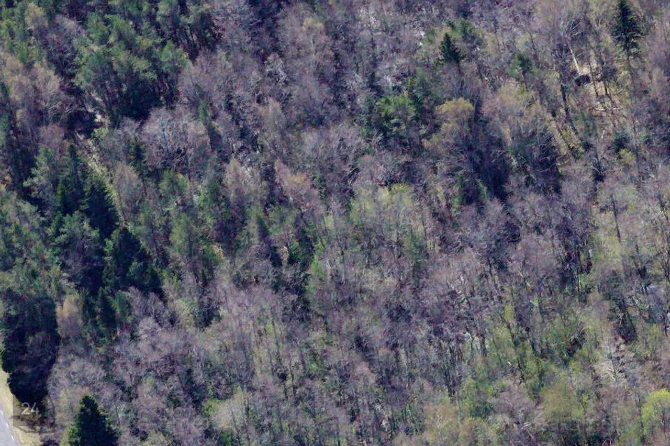 Maatulundusmaa, 58135 m² Maa - Hiiumaa vald, Kukka küla - foto 5