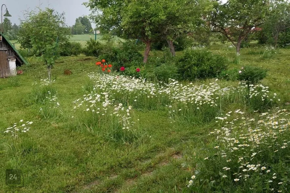 2-комнатная дом в Kadrina vald, Kiku küla - фото 3