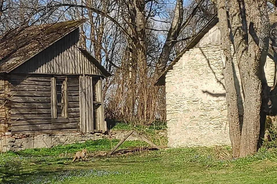 1-комнатная дом в Järva vald, Reinevere küla - фото 3
