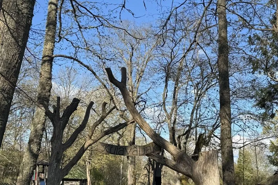 Maatulundusmaa, 10012 m² Maa - Saaremaa vald, Käesla küla - foto 5